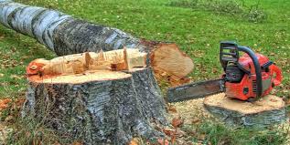 Best Commercial Tree Services  in Crozet, VA