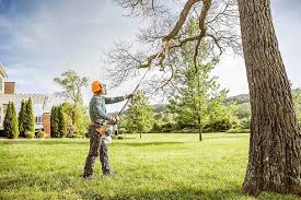  Crozet, VA Tree Services Pros