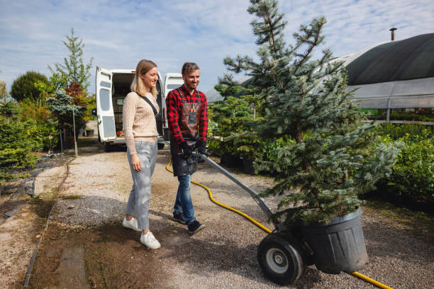 Best Lawn Disease Treatment  in Crozet, VA